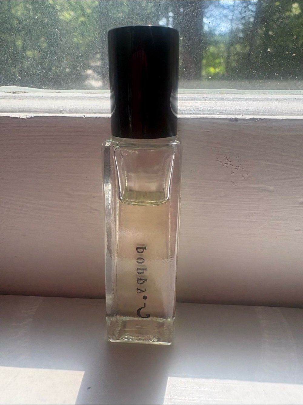Riddle oil poppy - Picture 4 of 4